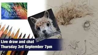 Live Draw Along and Chat | Alpaca | Curly Fur and Ears on Drafting Film | Part 3