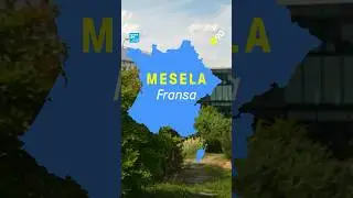 Mesela Fransa: Haftada 4 gün çalışsak ne olur?