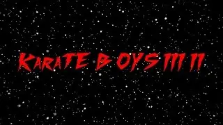 Karate Boys III II