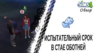 Испытательный срок в стае оборотней в Симс 4