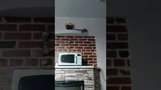 гдеже кот