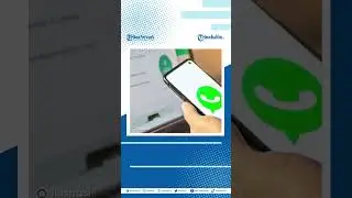 Cara download status WhatsApp milik teman di WhatsApp Web dengan fitur ekstensi