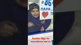 Анубис шоу  хоккейном матче премьера лиги Москва 