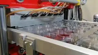 ÇAP 95 KABA DÜZ TERMOFORM PLASTİK KALIBI