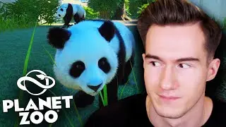 ЗООПАРК САМЫХ МИЛЫХ ПАНД ★ Planet Zoo #3