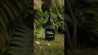 BBgon/3D Animation in Blender