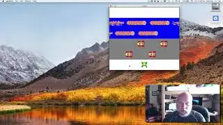 Frogger Application