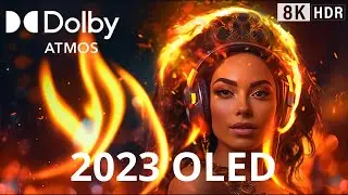 SAMSUNG Demo TEST, Oled DEMO 2023, 8K HDR 60FPS!
