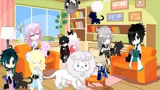 Critter Overload!! [Genshin Impact, Honkai Impact 3rd & Honkai: Star Rail]