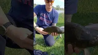 Pe la pescari in timpul partidelor de #pescuit pe Lacul Boteni 1. Pescuit la #undita si la #feeder