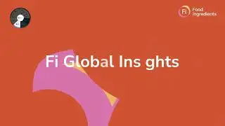Discover the Fi Global Portfolio