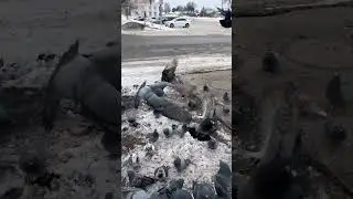 Греются твари