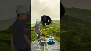 Gorilla attack vfx video 