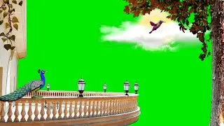 Balcony Green Screen Template Video Background | Best Green Screen Background Video Effects hd