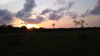 Conheça o Retiro Novo Horizonte Rio Coatá Chaves Pará 📷🐃⛱️🇧🇷