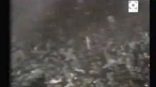 Miguel Mateos Tirá Para Arriba Live 1985 Luna Park