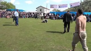 Dildost Yayla Şenlikleri 2014 ( güreş 2)