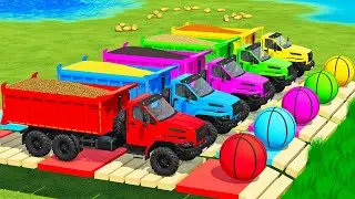 TRANSPORTING CORN, SORGHUM, SUGARCANE, POTATOES & CANOLA WITH MAN & NEXT TRUCKS - FS22