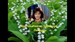 Цветок имени Элеонора ландыш