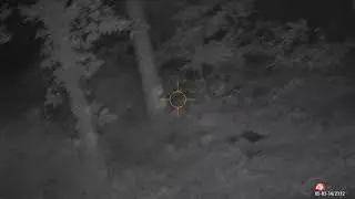 YelpingYote