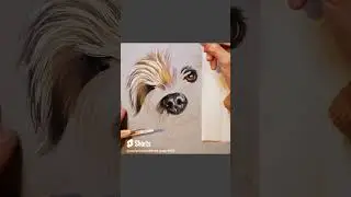 Portrait for Lorraine Kelly | Relaxing Pet Portrait Timelapse 🐶 ✏️