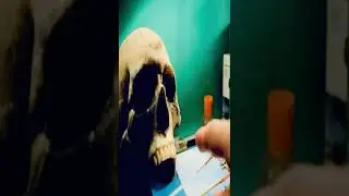 Моделизм и Доктор Ливси