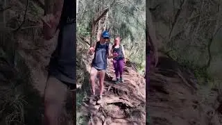 Hike with us in Hawaii