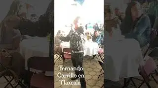 Fernando Carrillo