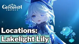Best Lakelight Lily Locations - Genshin Impact