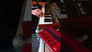 AUTECHRE type beat with the Nord Micro Modular & Prophet REV2 #prophetrev2 #synthesizer
