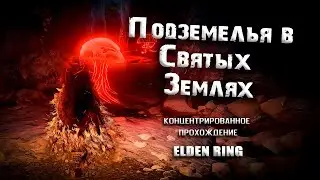 Все данжи в землях Святого Древа Микеллы. Elden Ring (Ver. 1.04.1). Прохождение. Таймкоды. Гайд.