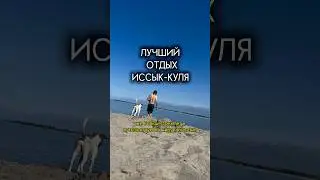 Inst: Hippohae нашли свой дом #влог #блог #путешествие #собака #иссыккуль #бродяга