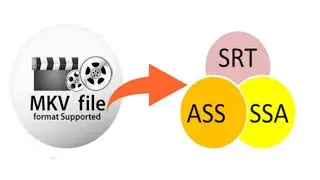 How to Extract Subtitle from MKV || how to extract subtitles from a video
