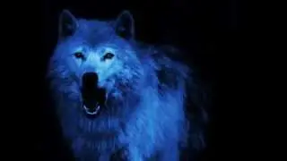 demoncast : pack life : backtape