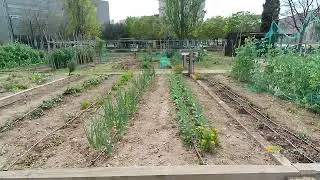 Huertos urbanos