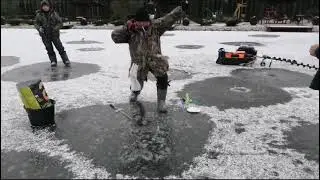 WhatsApp Video 2023 11 21 at 08 35 58