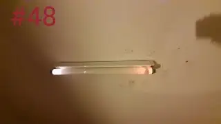 EOL fluorescent tube #48 SYLVANIA LIFELINE 20W T12