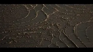 Unreal Engine 5  -  RoP  (Realtime Niagara PBD with Render Target)