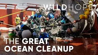 Can Boyan Slat Stop Plastic Pollution at its Source | WILD HOPE