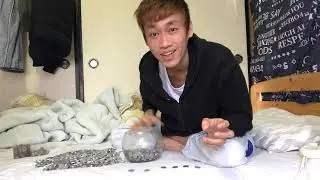 Đếm Hết Hũ Cá Tiền Xu 1 Yên_Rảnh Quá Là Vậy
