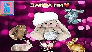 Зайка Ми/ Zaika Mi