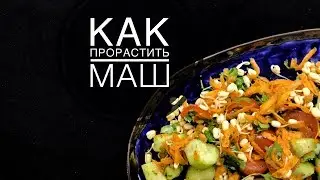 КАК ПРОРАСТИТЬ МАШ / РОСТКИ
