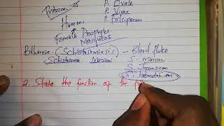 HUMAN DISEASES/CELL ORGANELLES/DISEASES OF CIRCULATORY SYSTEM....... BIOLOGY REVISION