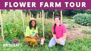She Built a Pro Flower Farm in 3 years