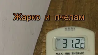 Когда пчелам очень жарко