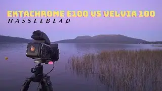 Kodak Ektachrome E100 vs Fuji Velvia 100