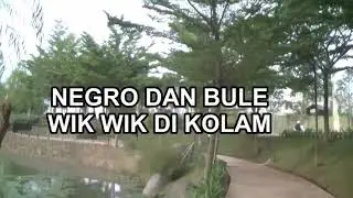 NEKAT!! Bule dan Negro Wik Wik di Pinggir Kolam # Proses Perkawinan lele dumbo dan Albino