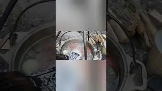 Большое Донское путешествие день второй! Уха 