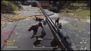 Fallout 76 wild mongrel no running animation