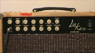 Luker Chameleon 40 watt combo amp